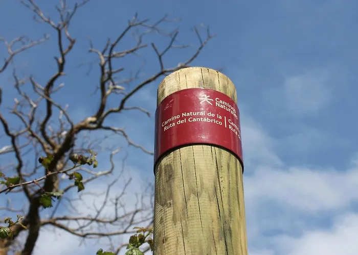 Otel O Val Do Naseiro 4*