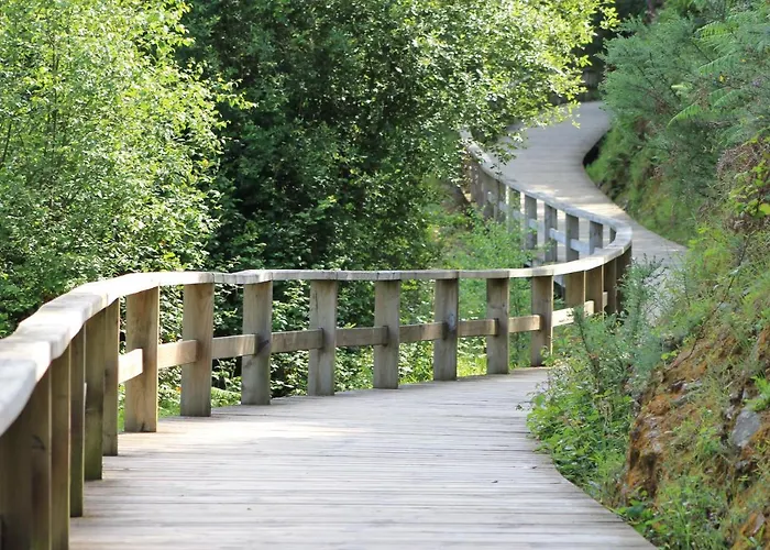 Otel O Val Do Naseiro Viveiro