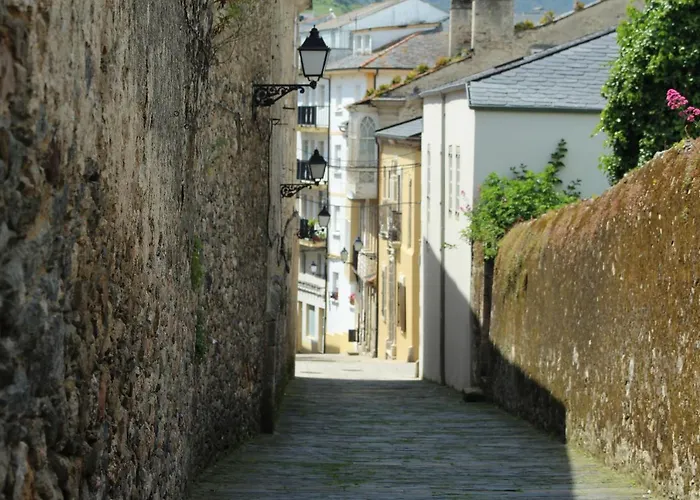 Otel O Val Do Naseiro Viveiro