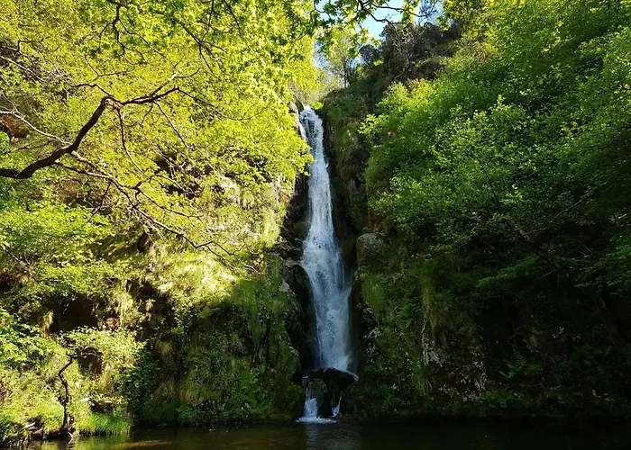 O Val Do Naseiro Viveiro