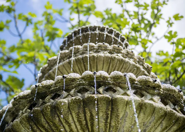 Otel O Val Do Naseiro Viveiro