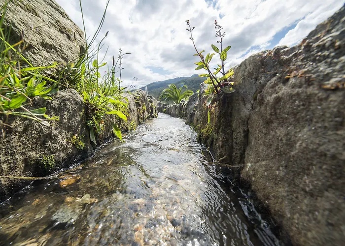 Otel O Val Do Naseiro Viveiro